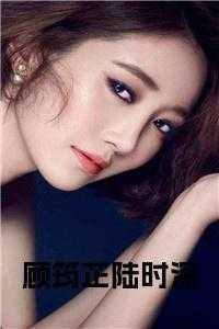 男主角陆时深女主顾君灼