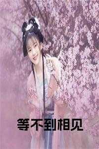 等不到相见全文
