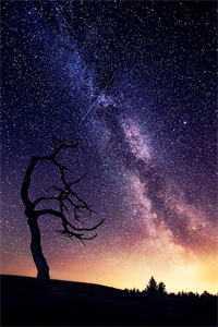 桃源小神医免费阅读全本 m.biquku.la