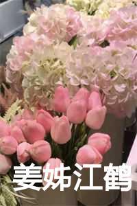 江鹤写的哪里能看