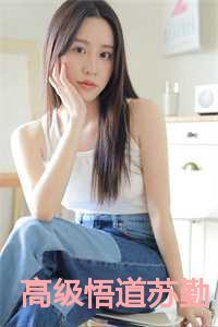 高级悟道苏勤动画16个小时