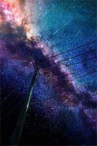 云香鬓影
