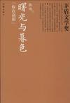 曙光与暮色读后感300字