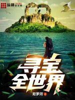 寻宝全世界TXT精校