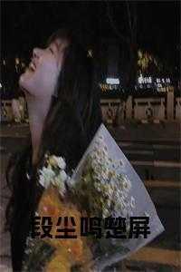 主角段尘