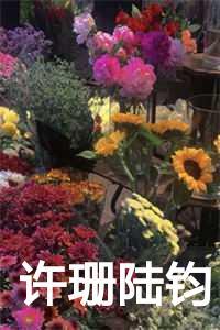 29许钧
