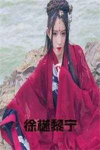 徐樾黎宁这本书叫什么名字