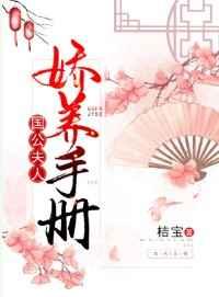 国公夫人娇养手册晋江