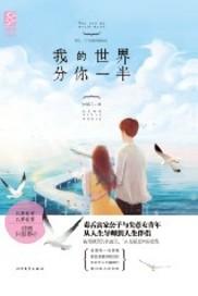 我的世界分你一半电影完整版