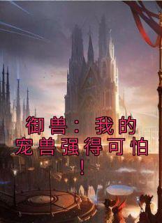 林奇2844