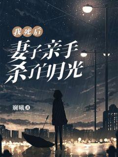 程安雅女主