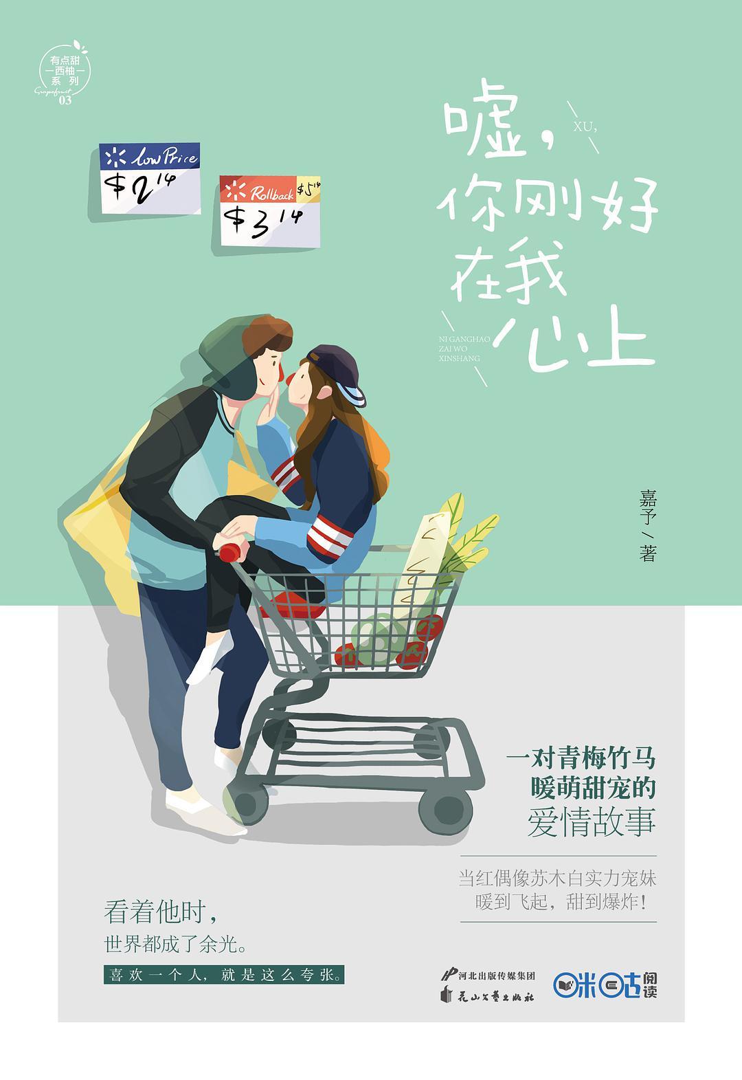 可否摘星辰晋江