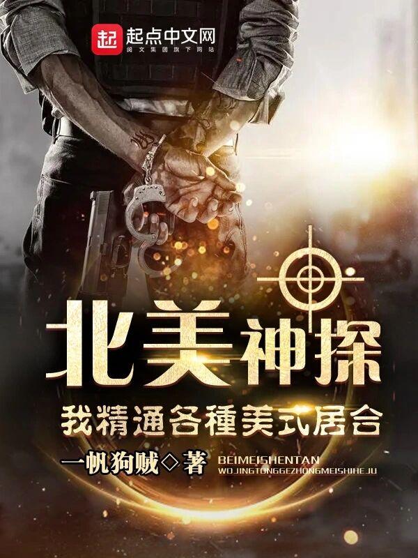 北美神探我精通各种