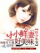 权少私宠小小鲜妻