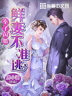 奉子闪婚鲜妻不准逃