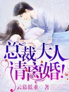 闪婚娇妻总裁大人请离婚
