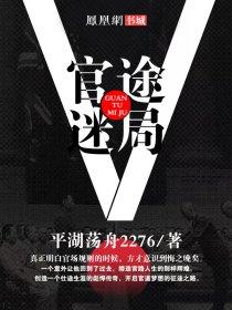 官途迷局陈明浩最新更新章节列表