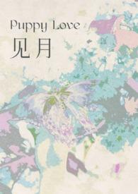 见月(1V1 H) 作者一块小西饼
