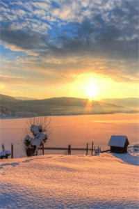 封呈南知by全文阅读