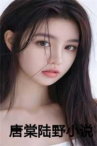 女主叫陆棠棠的