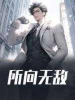 桑托斯是哪一个城市