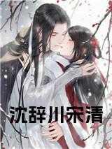宋辞沈清夜知乎免费阅读