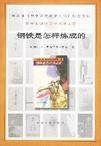 钢铁是怎样炼成的 思维导图