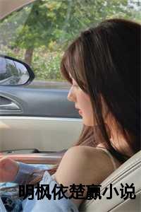 主人公叶枫女主角楚依依