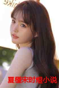 宋时与苏瑾夏45章