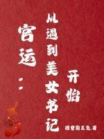 官运权途聂飞沈蕾蕾