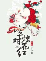 空对烛花红讲的是