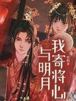 我寄愁心与明月