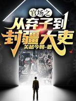 官场之从弃子到封疆大吏丁赫