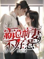 厉总前妻不好惹大结局