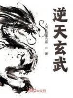 逆天玄武努力值加点