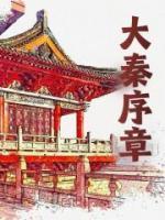 大秦 系列