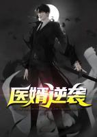 医婿无弹窗