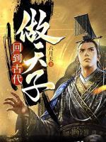 回到古代做天子第二季免费观看
