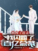 被嫂子赶走我闪婚了百亿总裁大结局