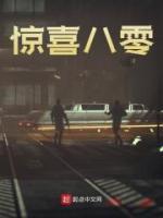 惊喜八零李小锋免费阅读全文