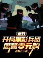 开局带着黑影兵团创立天外天