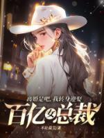 我转身迎娶百亿女总裁 第438章