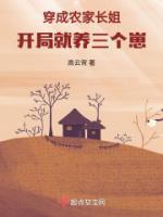 穿成农家长姐开局就养三个崽