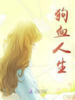 狗血人生云子衿陆云阙