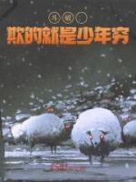 斗破少年变
