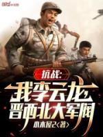 抗战之我李云龙就服民兵