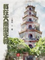 支教大秦免费阅读