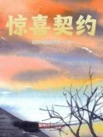 惊喜契约百度阅读