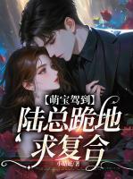 萌宝驾到电视剧