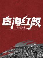 宦海红颜叶恪笔趣阁免费阅读